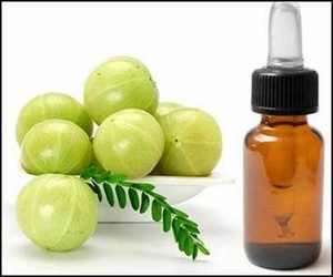 Fabricante puro de aceite Amla - Product Image 3