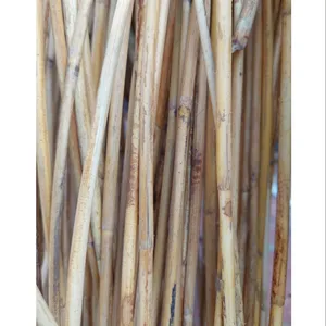 قصب الخيزران الطبيعي عالي الجودة, مصنوع من المواد الخام ، مصنوع من خشب الخيزران ، مع قشرة من خشب الراتان مانو + 84947900124