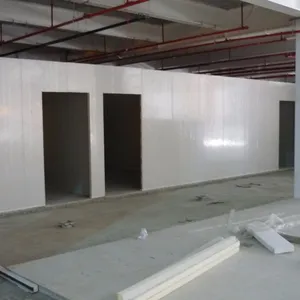 PU/PUF/PIR insulated sandwich panels for cold room construction