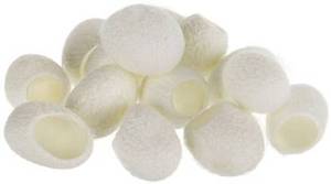 รังไหมหม่อนไม่ย้อมสี,Fibres หนอนไหม/เปิดรังไหมสำหรับส่งออก Ms.lucy + 84 929 397 651 - Product Image 2