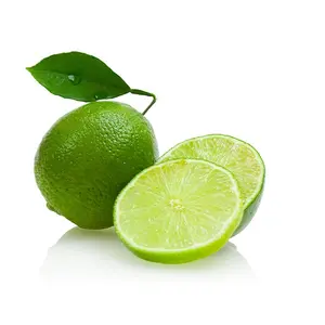 Terlaris Kualitas Tertinggi Lemon Hijau Segar Alami Grosir Rasa Asam Berair Organik Tanpa Biji Lemon Lemon Harga Rendah