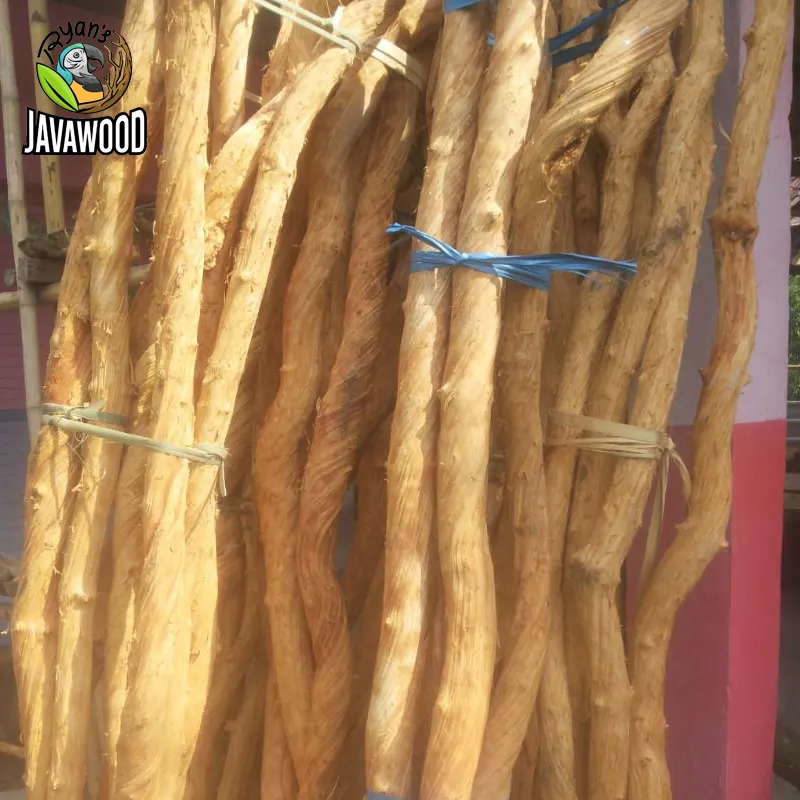 高品位で天然のリアナ材つるRosca dula log Liana Root Banana Monkey Caneオリジナルインドネシア