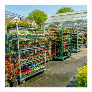 Carrello di fiori danese olandese in rete zincata a caldo per la raccolta di serra