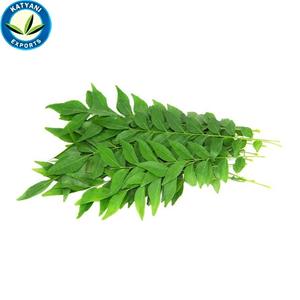 Aceite de hoja de curry de calidad superior: 100% puro y natural, embalaje personalizado disponible a los precios más bajos - Product Image 5