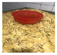 Chips de banane séchées 99 Gold Data, sans conservateurs, saveur sucrée, fruits et légumes du Vietnam, texture dure, frites et transformées