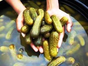 Légumes croquants et rafraîchissants dans une solution de sel Cornichons conservés dans du tambour en saumure - Product Image 3