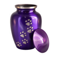 Paw Print Pet Cremation Urn Brass Metal Ashes Container <b>Memorial</b> Funeral Urn for Dog <b>Cat</b> Keepsake Decorative Urn - Product Image 2