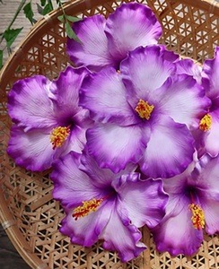 Bán Chạy Nhất Chất Lượng Tốt Thủ Công <span class=keywords><strong>Handmade</strong></span> Hoa Dâm Bụt Nhân Tạo Bọt Với Hình Xăm Đặc Biệt Và Hoa Văn Màu - Product Image 2