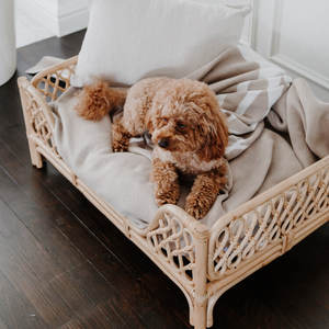 <b>Rattan</b> <b>Dog</b> <b>Beds</b> Bamboo Pet <b>Bed</b> Wholesale Cheap Price - Product Image 4