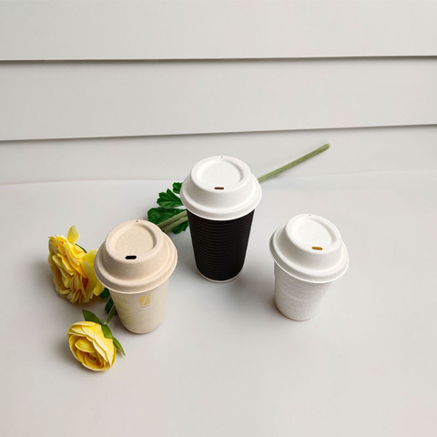 12 10 Oz Hot Paper With Cold Disposable Cup Lid 12 10 Oz Hot Paper With Cold Disposable Cup Lid