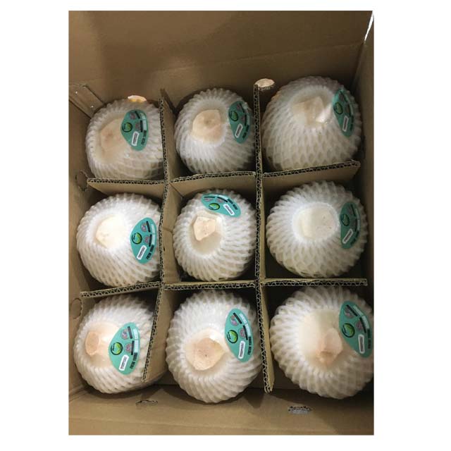 Fresh young coconut Vietnam coconut cheap price