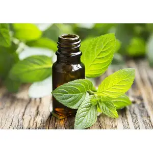 Spearmint Essential Oil For Fighting with Harmful Cells Skin and Beauty Care Essential oil Suppliers