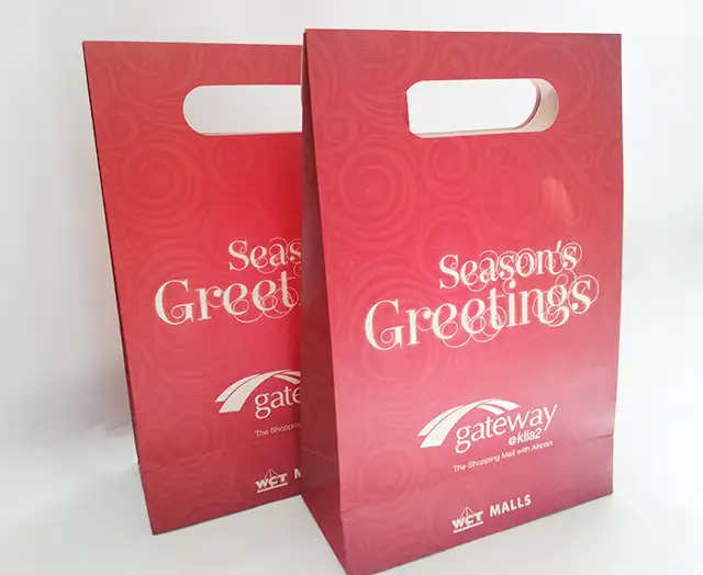 Malaysia Coated Paper Bag Custom Printing High Quality Gift Party Bags of Any Sizes
