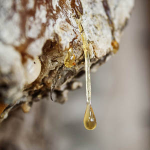 Aceite orgánico de bálsamo puro de Perú más vendido para la piel aceites utilizables fabricación en India precios al por mayor productos - Product Image 5