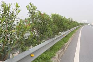 Highway Guardrail/Expressway Guardrail /Crash Barrier for safety transportation high quality product from Vietnam - Product Image 2