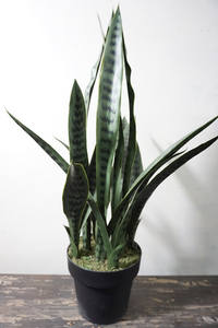 <span class=keywords><strong>Planta</strong></span> Artificial <span class=keywords><strong>de</strong></span> Interior, Bonsái <span class=keywords><strong>de</strong></span> Plástico, <span class=keywords><strong>Planta</strong></span> <span class=keywords><strong>Serpiente</strong></span>/Sansevieria/Agave, Ecológica, Duradera, Sin Necesidad <span class=keywords><strong>de</strong></span> Cuidado - Product Image 6