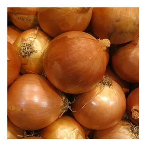 2021 New Harvest Onion / Fresh Onion / Yellow Onion From Thailand Premium Grade In Bulk