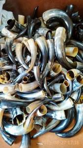 ถังดื่มน้ำกะโหลกศีรษะไวกิ้งทำจากเรซิน3D ออกแบบได้ตามต้องการสำหรับโรงจอดรถบ้านกลางแจ้งโรงแรมโรงรถใช้1ปี - Product Image 5