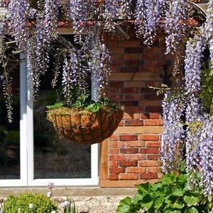 กระถางปลูกมะพร้าว,อุปกรณ์เวียดนามย่อยสลายได้100% สำหรับแขวนผนังสวนกลางแจ้ง - Product Image 3