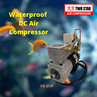 Compresseur d'air mobile embarqué tout-terrain professionnel sans huile à courant continu haute efficacité 24V étanche