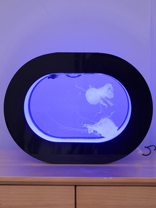 <span class=keywords><strong>Aquarium</strong></span> écologique pour méduses de 8 L, noir, à poser sur table, offre de produits en stock, réservoir acrylique multifonction en plastique - Product Image 4