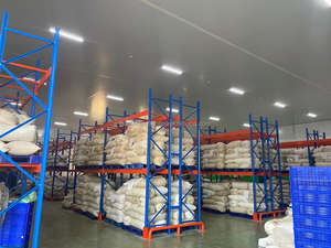 Vietnam biologique WW240 noix de cajou crues meilleur prix et qualité TR14 Hanfimex Tracy + 84397766566 - Product Image 4