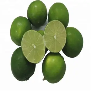Limone fresco di alta qualità e 100% naturale/limoni senza semi verdi freschi dal Vietnam/Serena