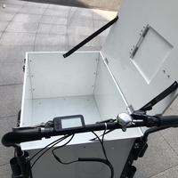 Offre Spéciale crème glacée vélo à vitesse unique vélo/vélo/cycle/trois roues vélo pour adultes/vélo tricycle UB 9027BW