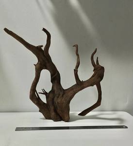 Madera Flotante Natural para Acuarios y Accesorios - Product Image 6