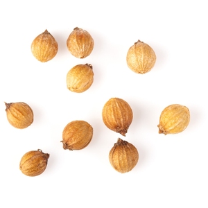 Aceite esencial de cilantro puro al por mayor, antiarrugas para la piel, botellas de 30ML y 100ml, precio razonable, exportaciones globales AARNAV - Product Image 3