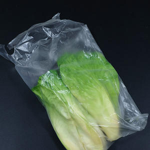 Bolsa de Pan Transparente de Plástico LDPE PE de Hanpak JSC, Fabricante Vietnamita, Precio Económico, para Envasado de Alimentos con Logotipo - Product Image 6