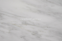 Carreaux de sol en marbre blanc naturel de haute qualité CenturyMosaic, Chine, 12*12 pouces