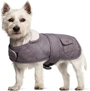 Chat pour animaux de compagnie chien chemise vêtements De Mode 2021 Nouvel été - Product Image 4