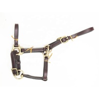 Harnais de cheval en cuir indien véritable, style selle anglaise, accessoires western, FAB International, couleur et taille personnalisées, laiton massif