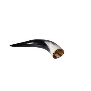 Cuerno decorativo de búhos para vajilla y diseño moderno, forma de cuerno natural, cuerno decorativo de mesa con jarrón de madera, en venta - Product Image 3