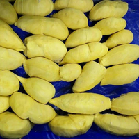 Diepvries Durian Fruit IQF Vriesproces Vacuümverpakking 2 Jaar Houdbaarheid Nieuwe Competitieve Prijs Uit Vietnam