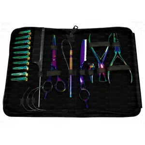 Fabricante Multicolor Herramientas hechas a mano para extensión de cabello profesional Kit de estudiante Set Venta caliente con CE ISO aprobado