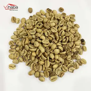 Top exporter coffee bulk robusta wet polished whole bean coffee robusta