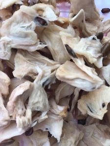 NOUVELLES RECOLTES DE COROSSOL SÈCHES ET MOELLES DU VIETNAM/+84 896611913 - Product Image 6