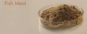 ALIMENTO PARA ANIMALES EN POLVO DE HARINA DE PESCADO PARA ALIMENTACIÓN DE GANADO - Product Image 5
