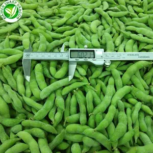 IQF — marque de haricots soja, en vrac, edamame, meilleur prix