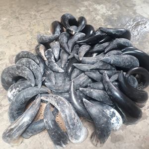 Cuerno decorativo de búhos para el hogar y el dormitorio, claxon decorativo de búhos pulidos brillantes para exteriores - Product Image 5