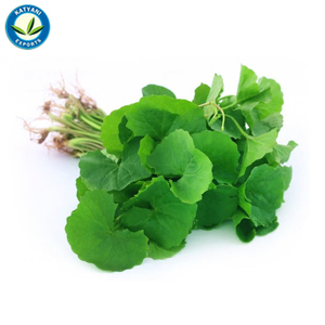 น้ำมันหอมระเหยธรรมชาติบริสุทธิ์100% จากอินเดีย - Product Image 2