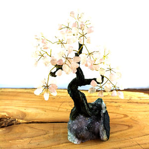 Colección de exhibición de árboles de piedras preciosas de cristal Natural brasileño - Product Image 3