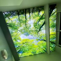 2025 Foxygen Marque Décoratif Intérieur Plafond Tendu Desgin Lambris PVC Plafond Tendu Arbre et Fleur Design pour Salon