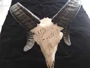 งานแกะสลักกะโหลกศีรษะของแกะ ศิลปะพื้นบ้าน ไม้คุณภาพสูง แกะสลักละเอียด 100% ทำด้วยมือในบาหลี - Product Image 4