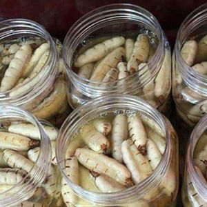 ราชินีปลวกที่ถูกที่สุดในไวน์ - Product Image 1