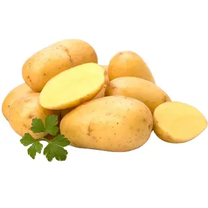 Venda quente baixo preço malha batata embalagem e exportação batatas frescas 1 comprador