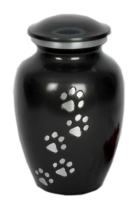 Urna de cremación para mascotas de diseño moderno, soporte para cenizas conmemorativas de mascotas de estilo metálico - Product Image 3