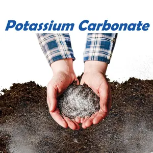 High Purity Potassium Carbonate Potash Fertilizer 99.5%min K2CO3 Powder CAS NO:584-08-7